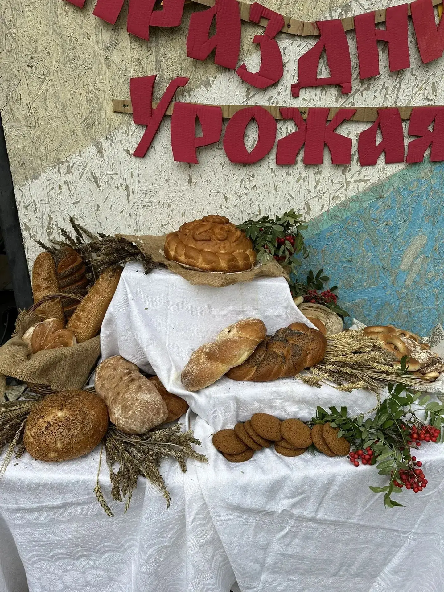 Сегодня, в тёплый осенний день,вокальное трио "Кетовчане " выступили на  празднике Урож...