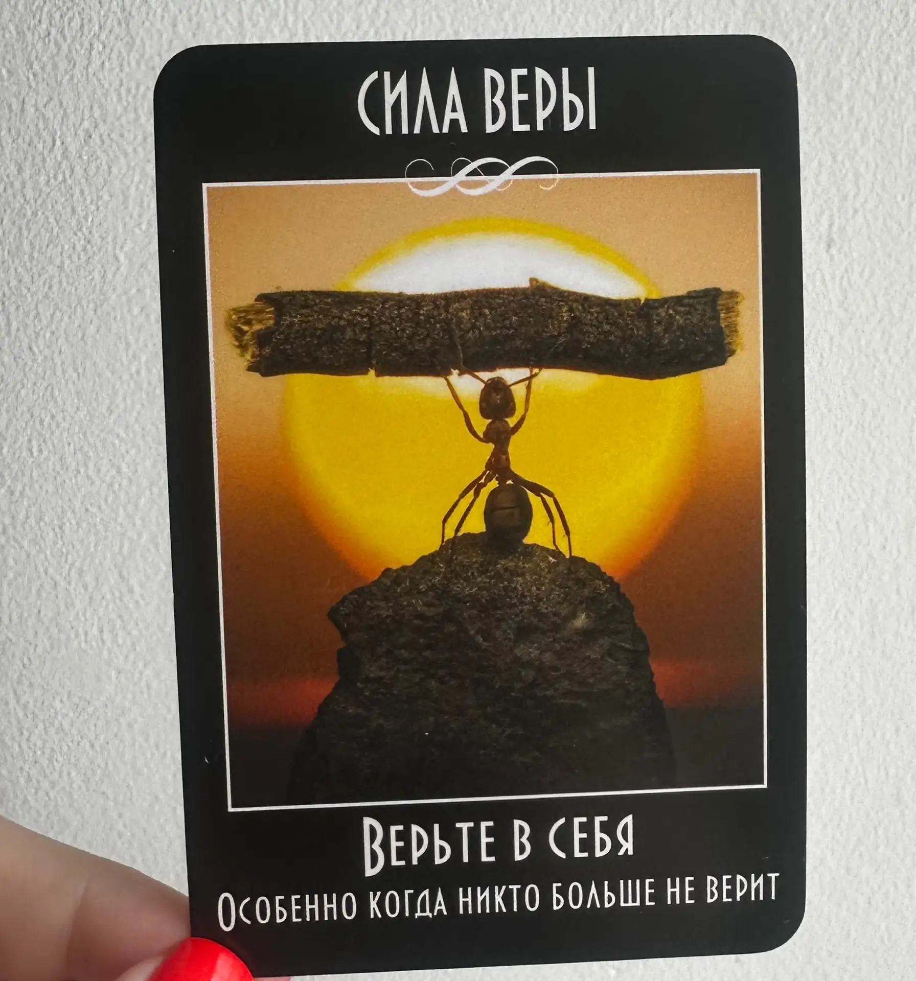 Карта дня на 7 июня ✨
