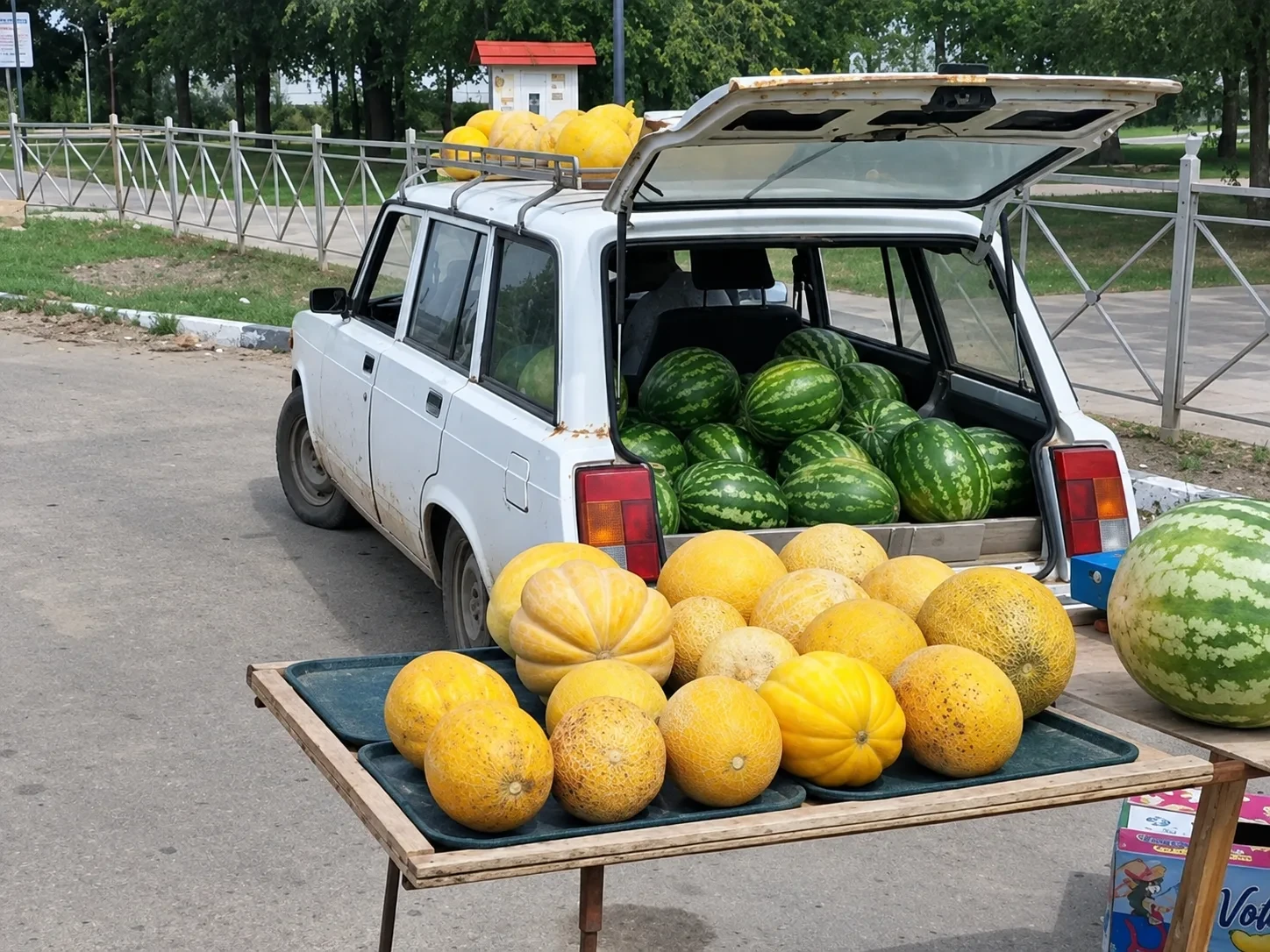 За любовь к арбузам астраханка получила 18 штрафов