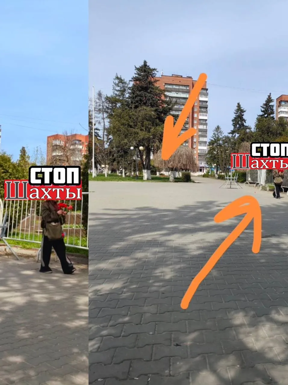 Почему родители не донесли до детей , что цветы , в частности  тюльпаны, которые высадили городские 