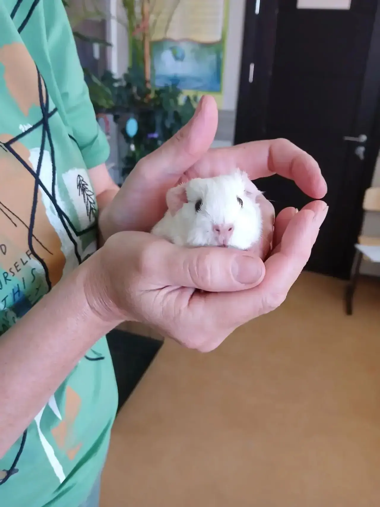 Спешим сообщить долгожданную новость✨

В нашем экологическом центре пополнение: малютка, которую мы 
