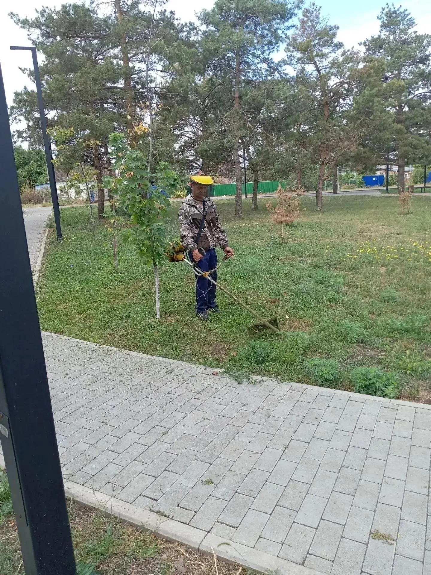 🌳Специалисты организации благоустройства продолжают плановые работы по санитарной очис...