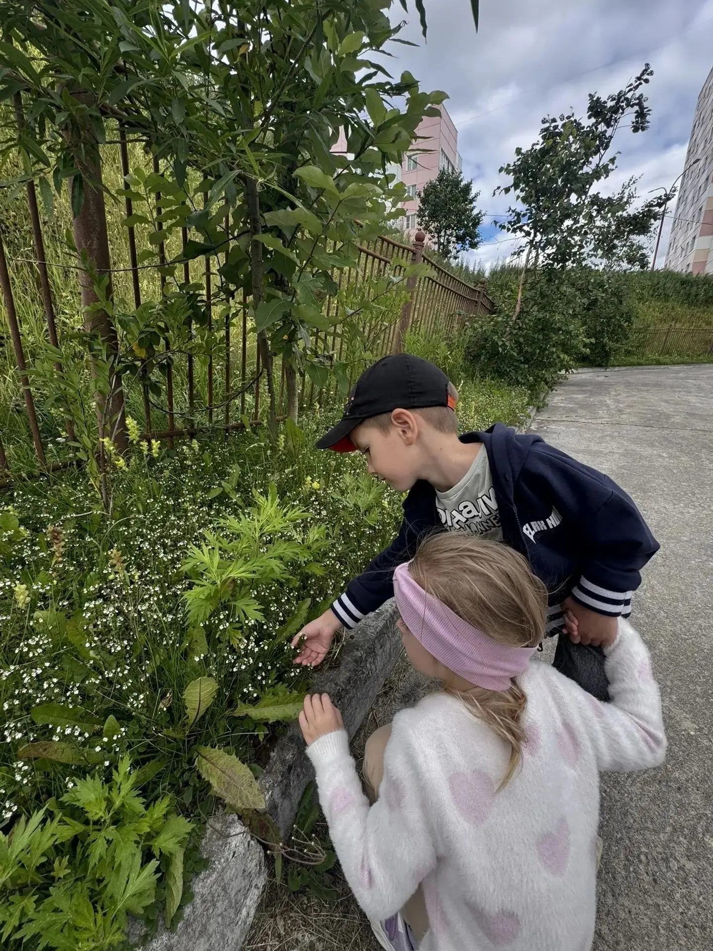 🌿 Юные исследователи: дети старшей группы наблюдали за растениями на прогулке.