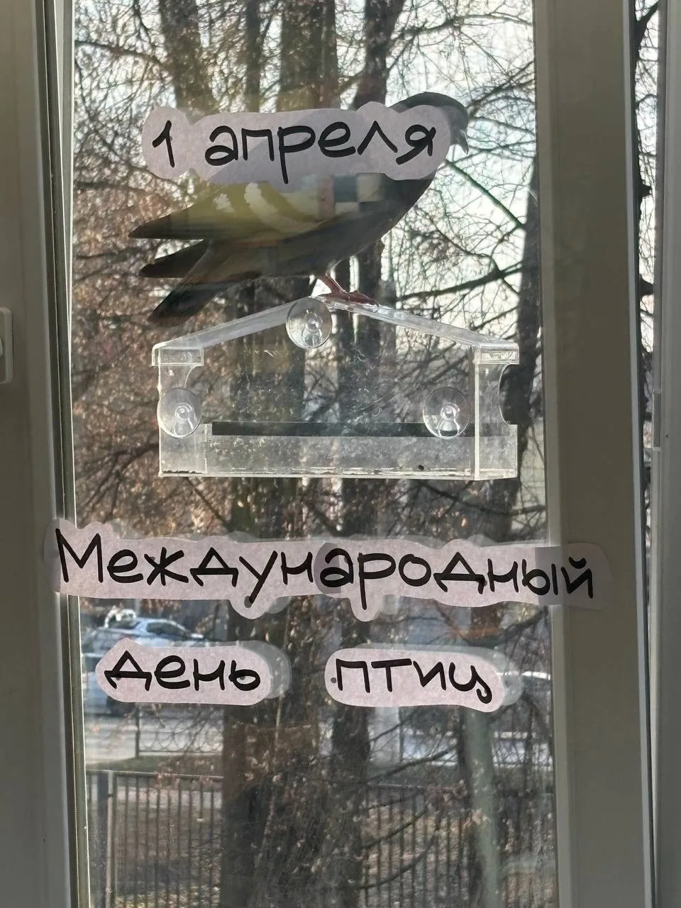 🕊️ 1 апреля — не только День смеха, но и Международный день птиц!  Ученики 4 «А» (кл. рук. Сенина Е.
