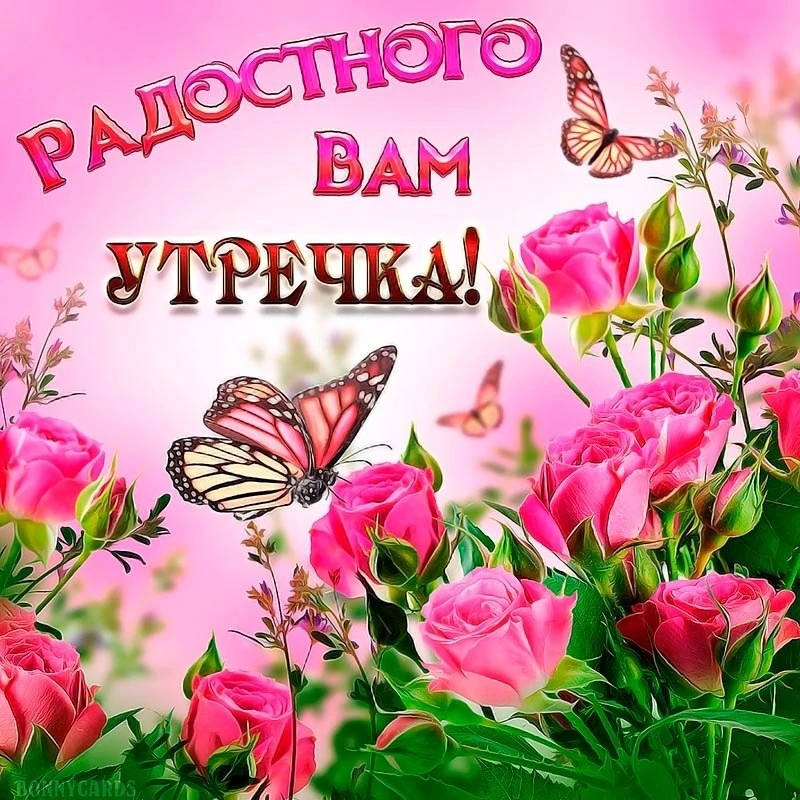 Открытки: подписаться ❤️