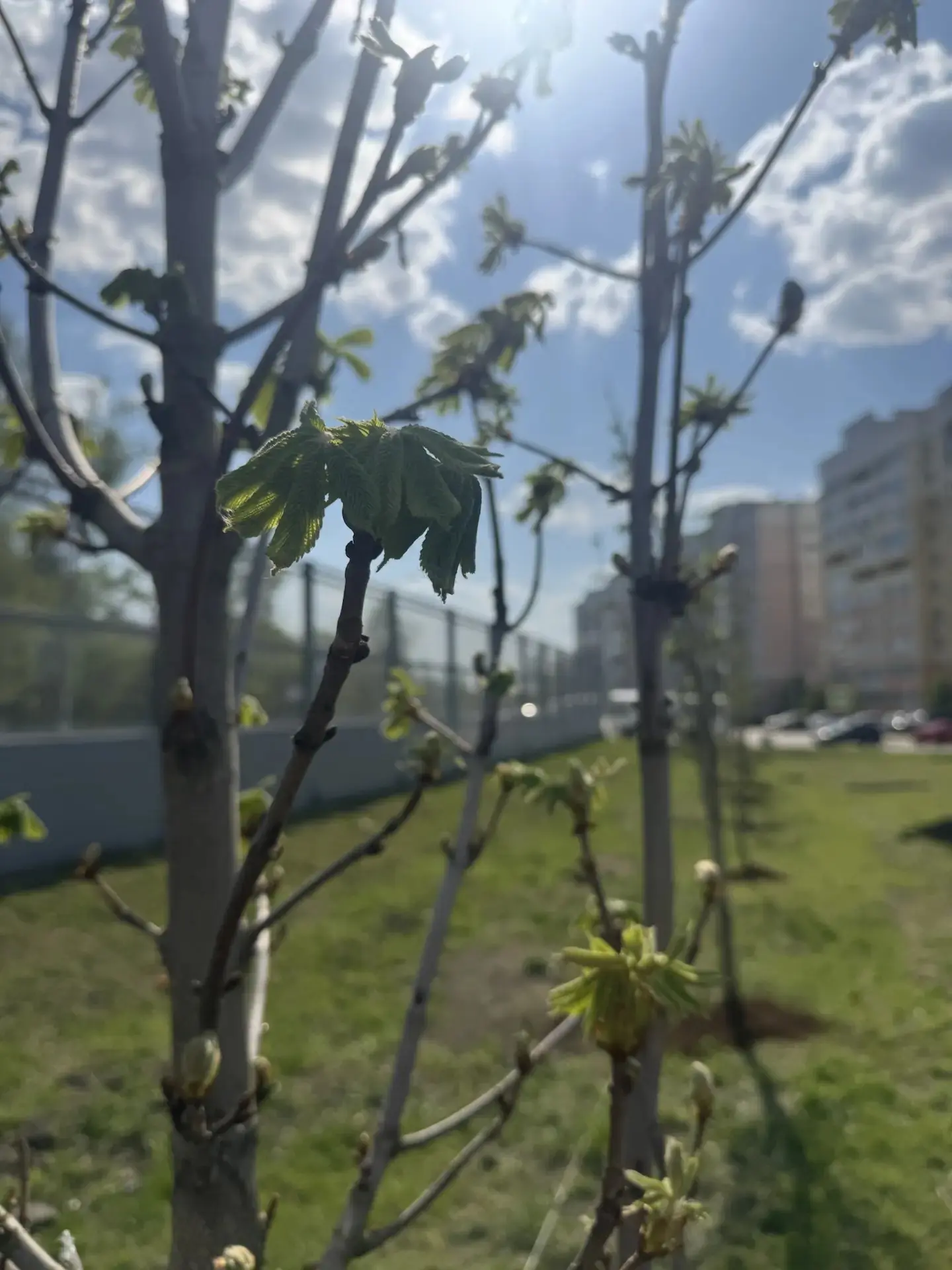 Сегодня, в преддверии Дня Победы, сотрудники нашего учреждения, ученики и преподаватели...