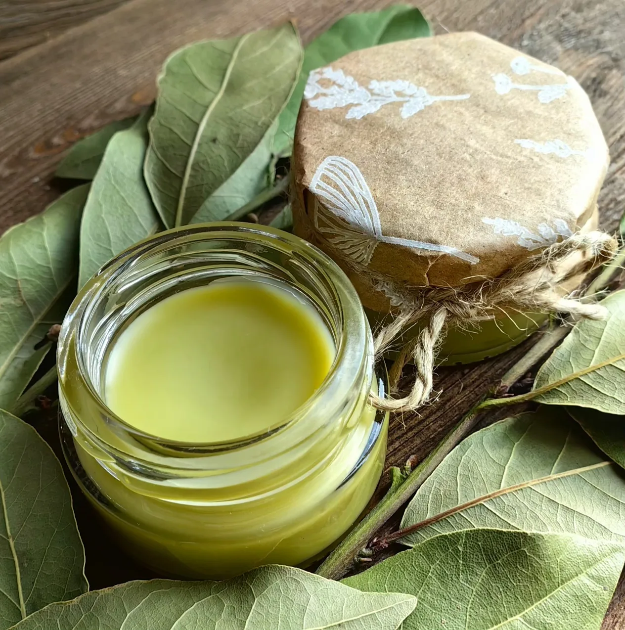 Новая мазь с лавром и прополисом. Продукт мультифункционального действия  - помогает су...