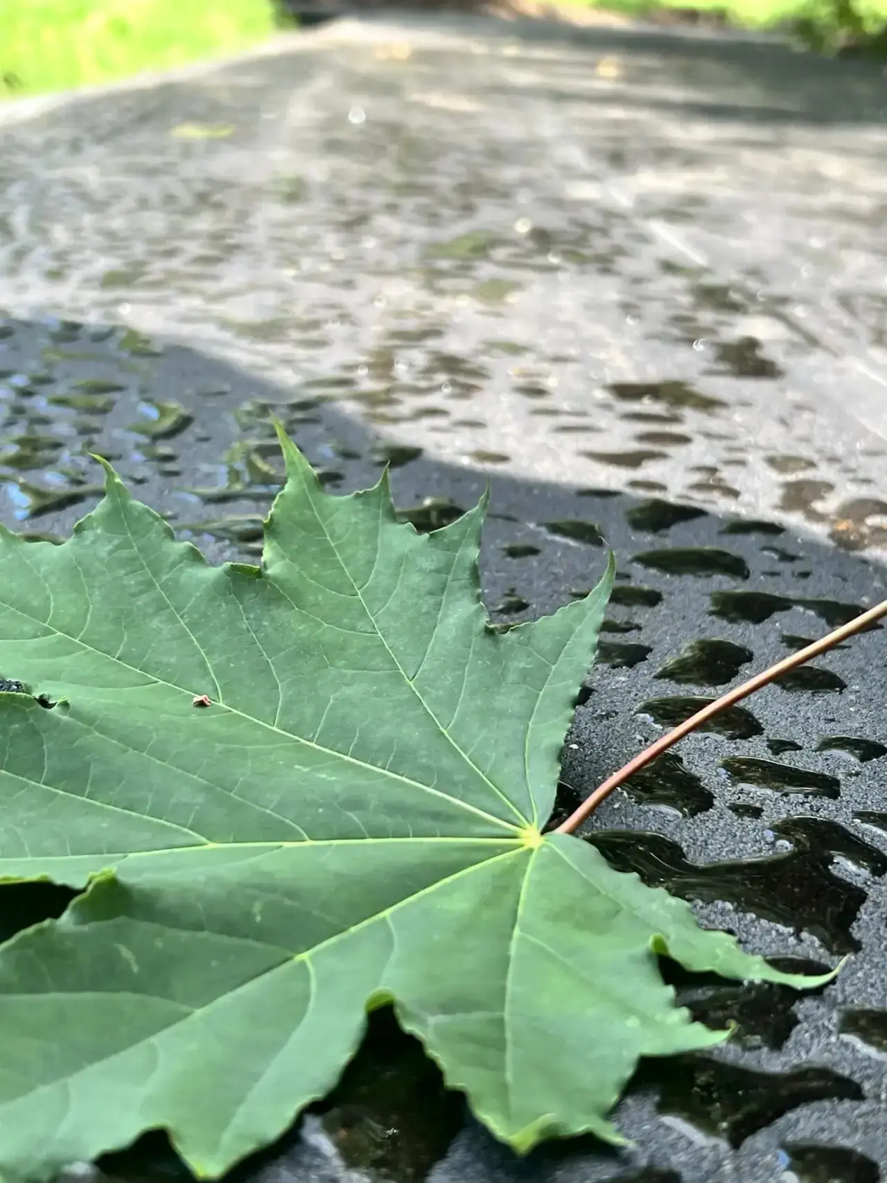 Доброе утро! 

🌦 По прогнозу синоптиков, суббота обещает быть пасмурной, а воскресенье — дождливым.