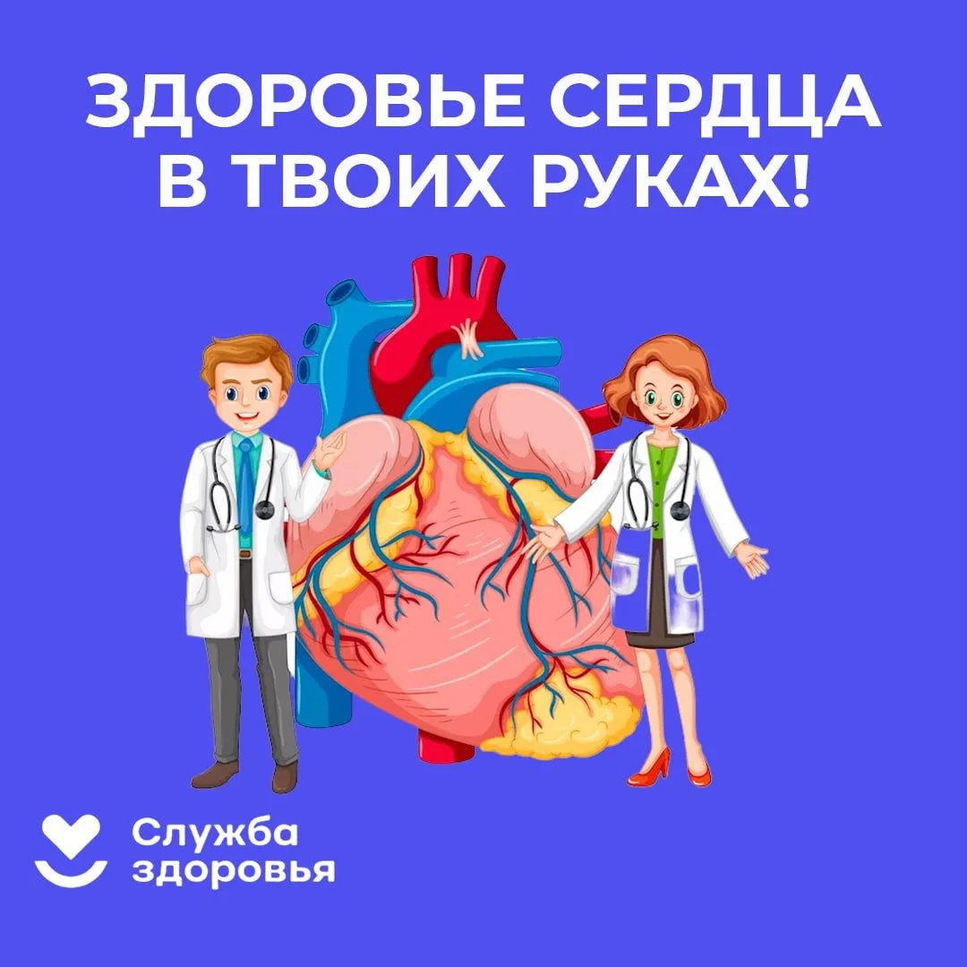 Неделя профилактики сердечно-сосудистых заболеваний проходит с 10 по 16 августа.