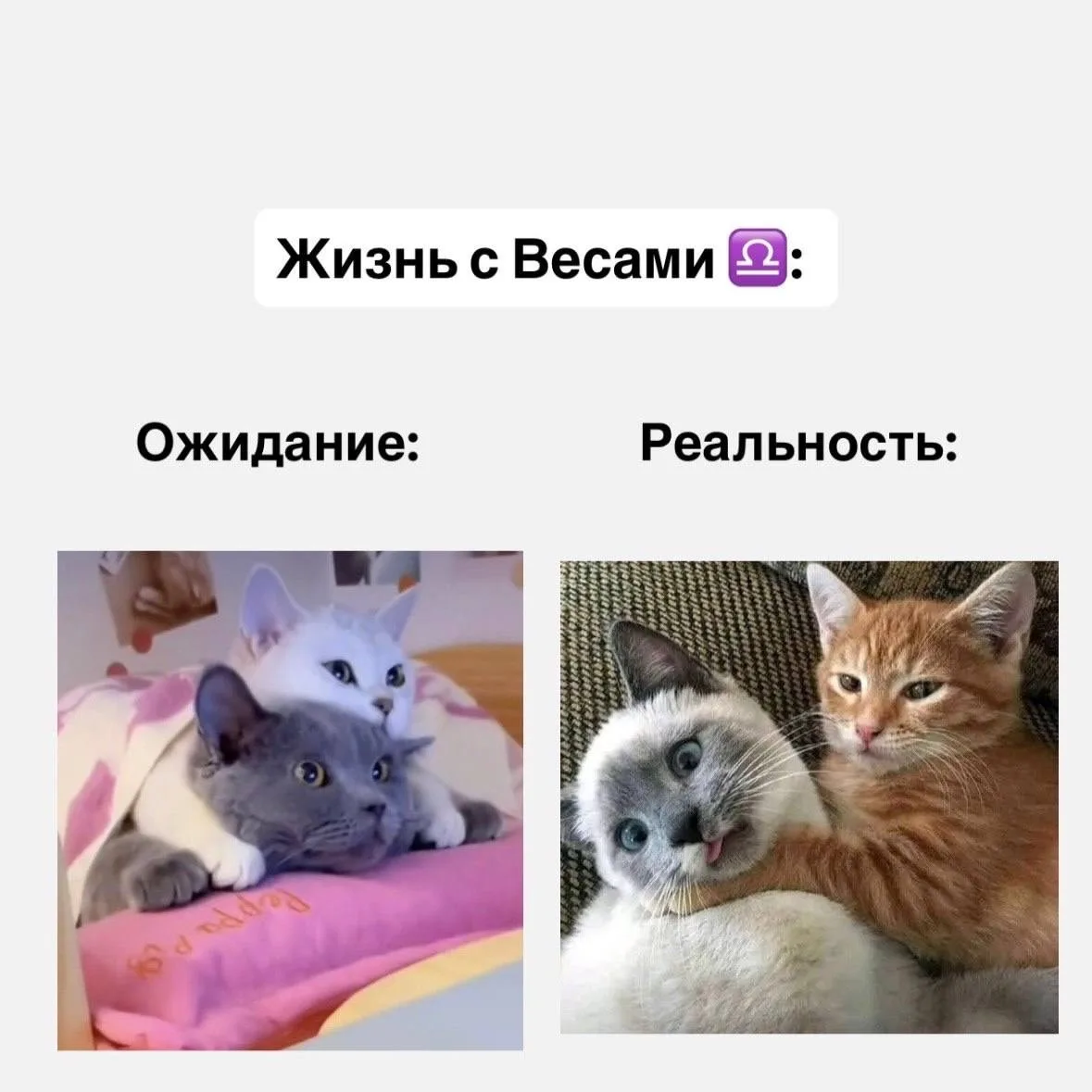 Жизнь со знаками зодиака, часть 2  Если согласны с постом, оставляйте реакцию ❤️  Астрология | Подпи