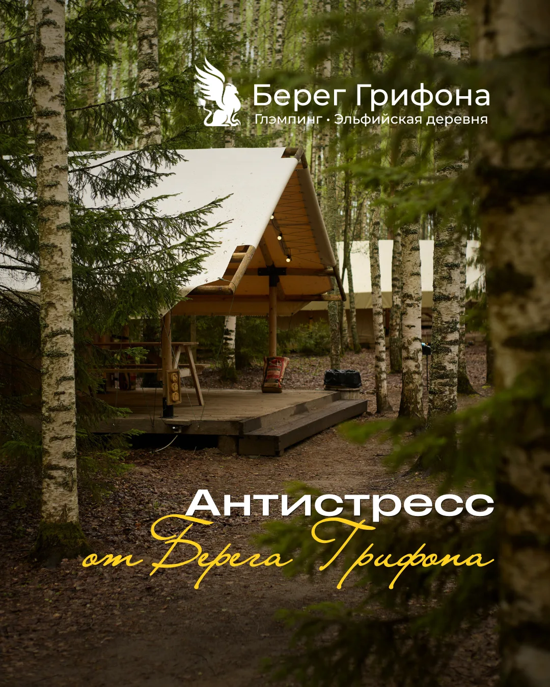 Лучшее средство избавиться от стресса — какое оно ❔
