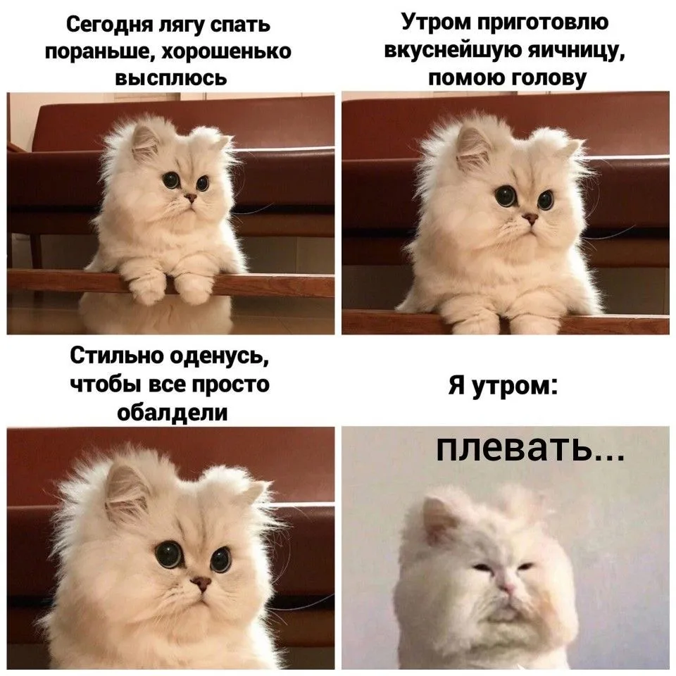 Доброе утро всем кто еще не может проснуться 😀
