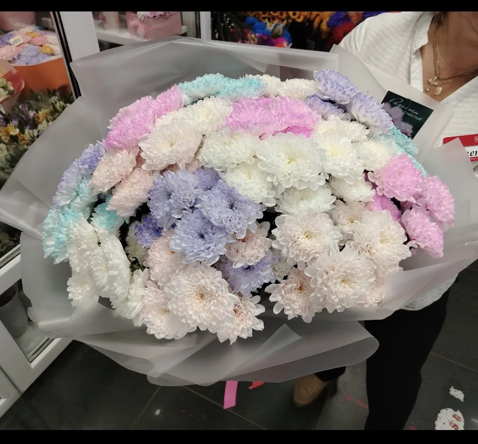 17 прекрасных хризантем💐❤️