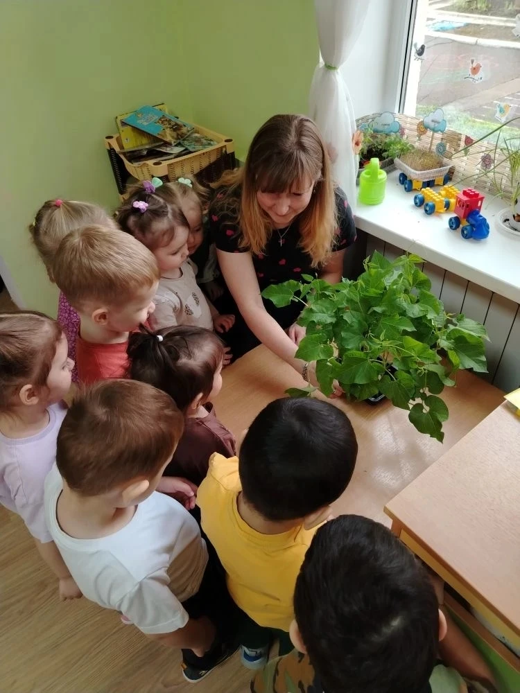 " Огород на окне"
Цель: формирование у детей первичных представлений о росте живых растений через пр