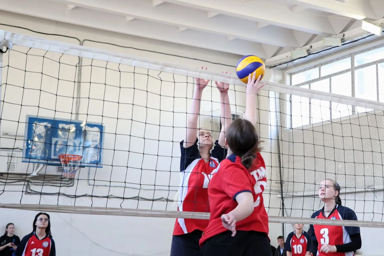 🏐 Кубок ректора СахГУ: первые итоги турнира по волейболу  В СахГУ прошёл женский турнир по волейболу