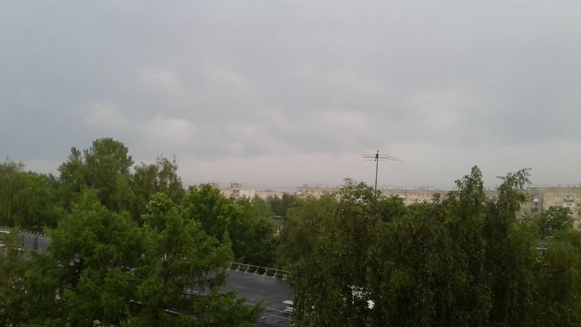 ⛈️В Ярославской области до 9:00 21 августа ожидается сильный дождь. В отдельных районах...