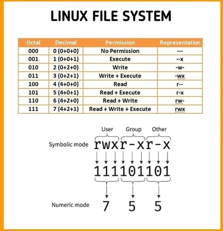 Права доступа Linux

@linux0ids