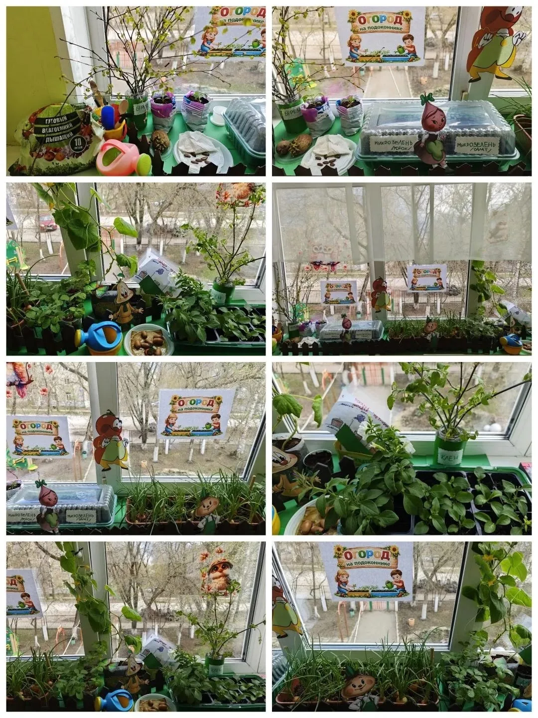 Май зеленый 🌿☘️🌿