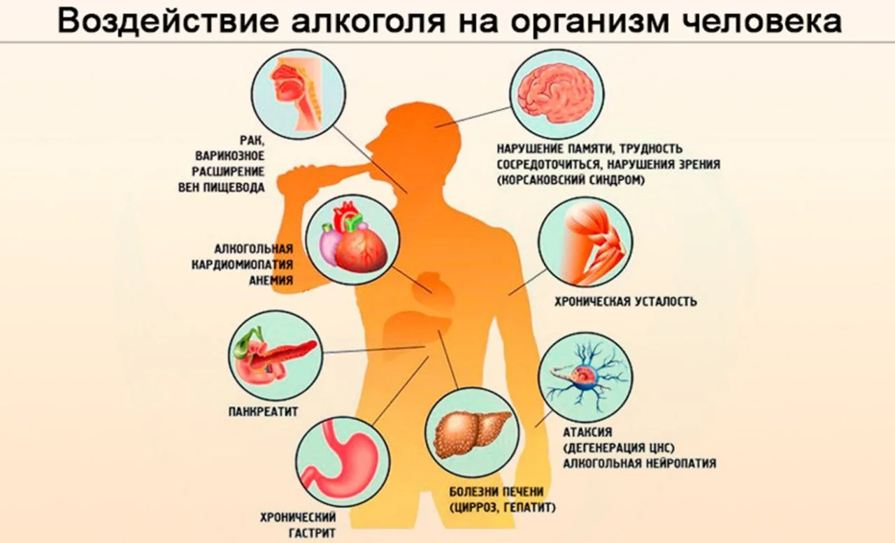 #тематическая_неделя