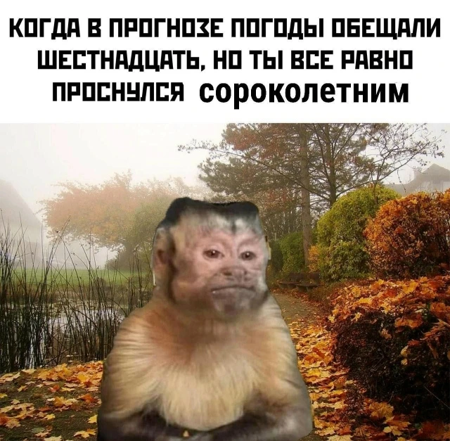 Кругом один обман😂

#юмор #приколы #мемы