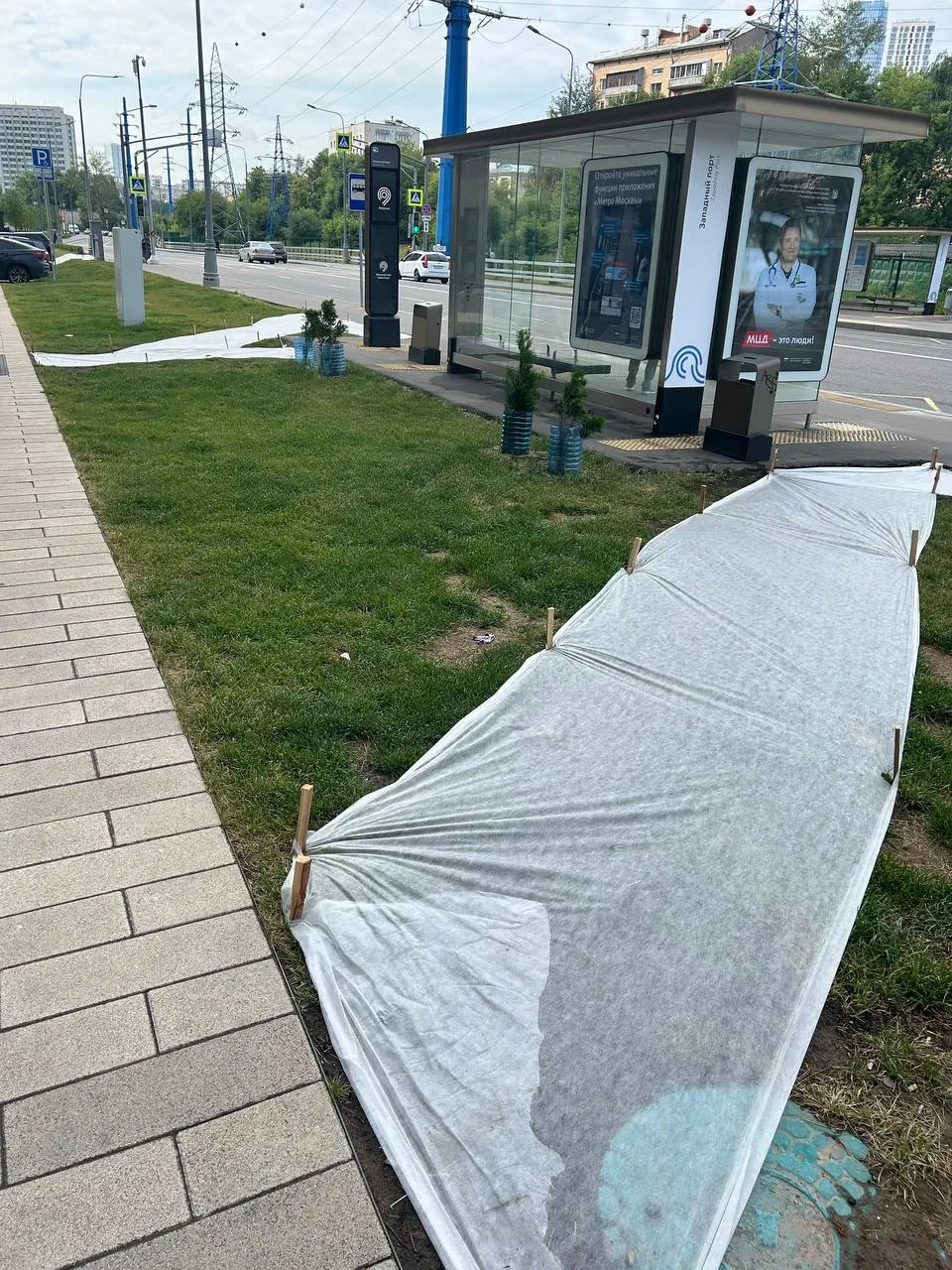 Жители Западного порта сообщают, что «народную тропу» до автобусной остановки раз за ра...
