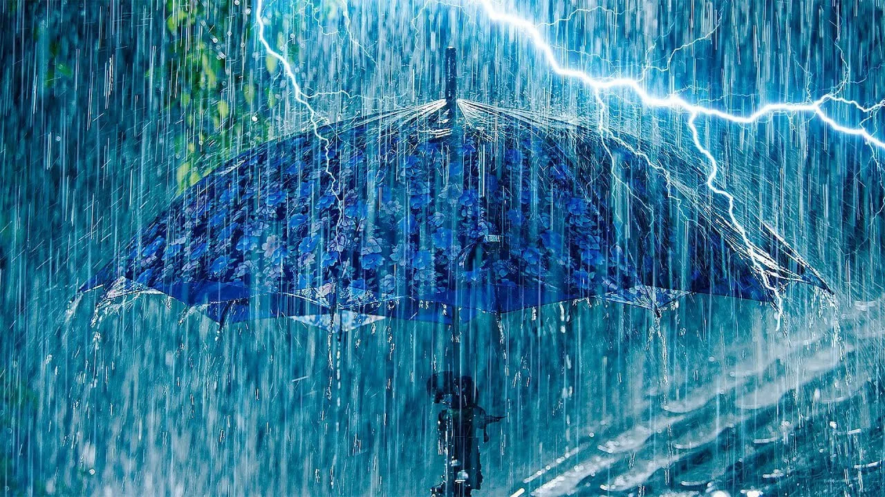⛈️ Завтра в ДНР и в акватории Азовского моря ожидаются дождь, гроза, порывы ветра до 14...