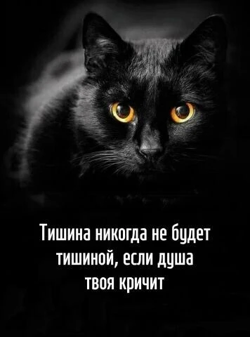 Изображение 1 к публикации «Мудрость для сильных людей 🧠💪»
