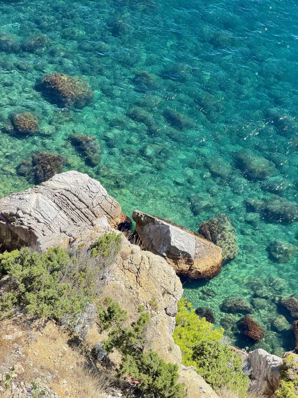 Потрясающие виды на Южнобережье в районе мыса Ай-Тодор😍