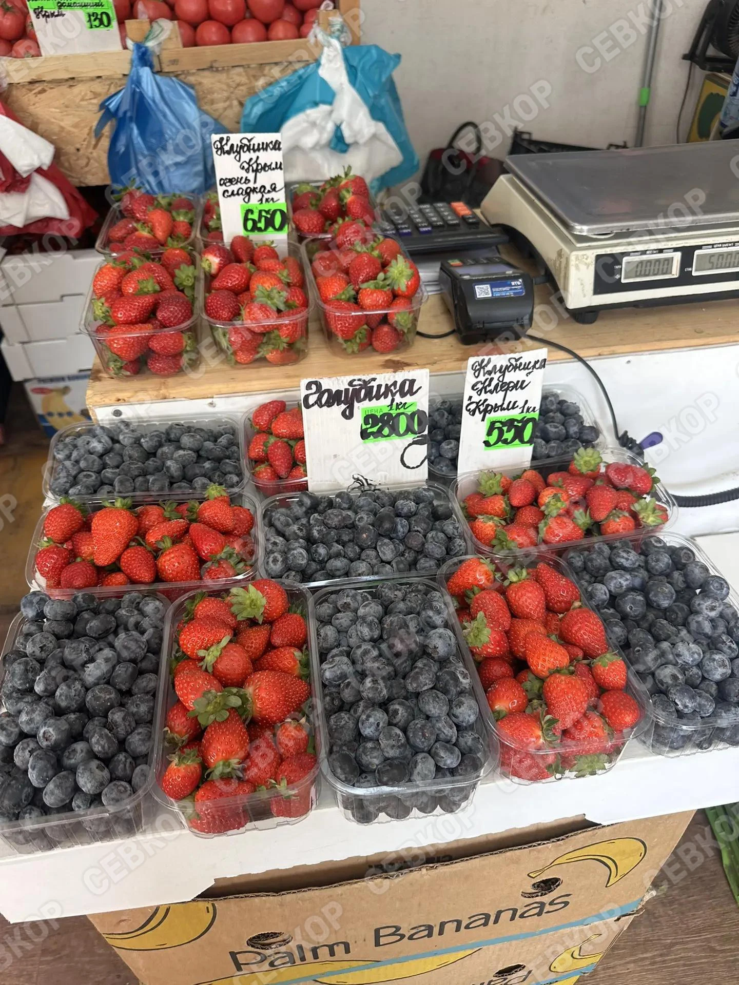 🍓 Ценник на голубику и клубнику.