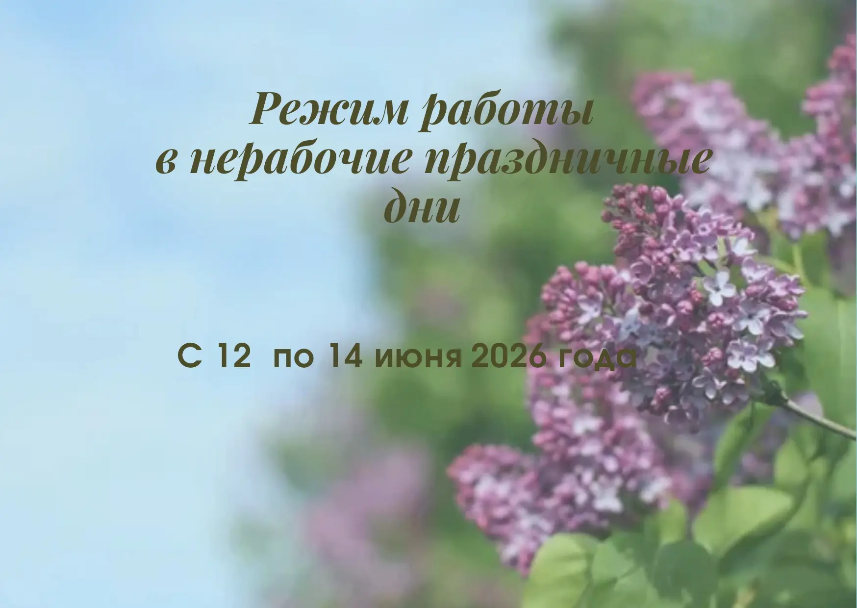 🔺Режим работы ГБУЗ «Областной кожно-венерологический диспансер» в нерабочие и праздничные дни      