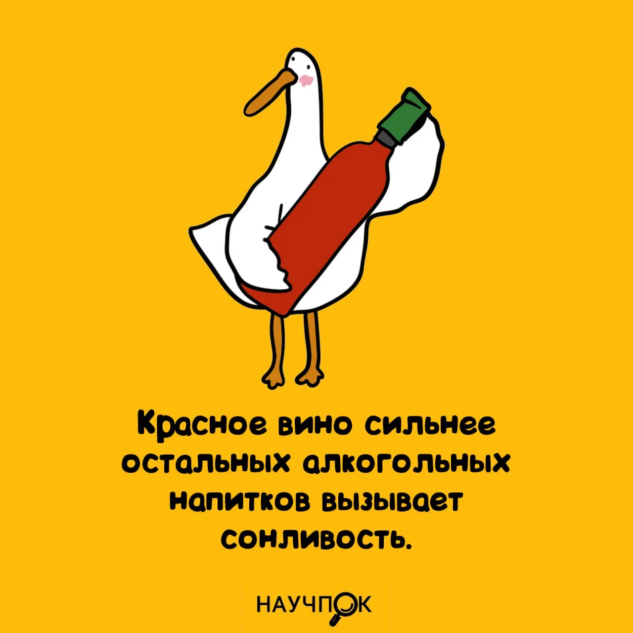 Научпок | Подписаться