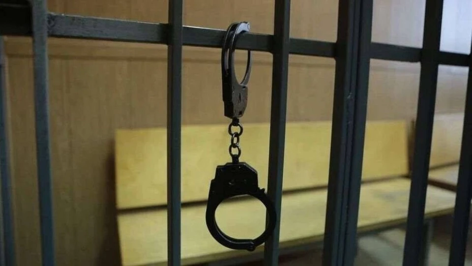 Выборгский районный суд Петербурга не стал отправлять в СИЗО женщину, которую подозрева...