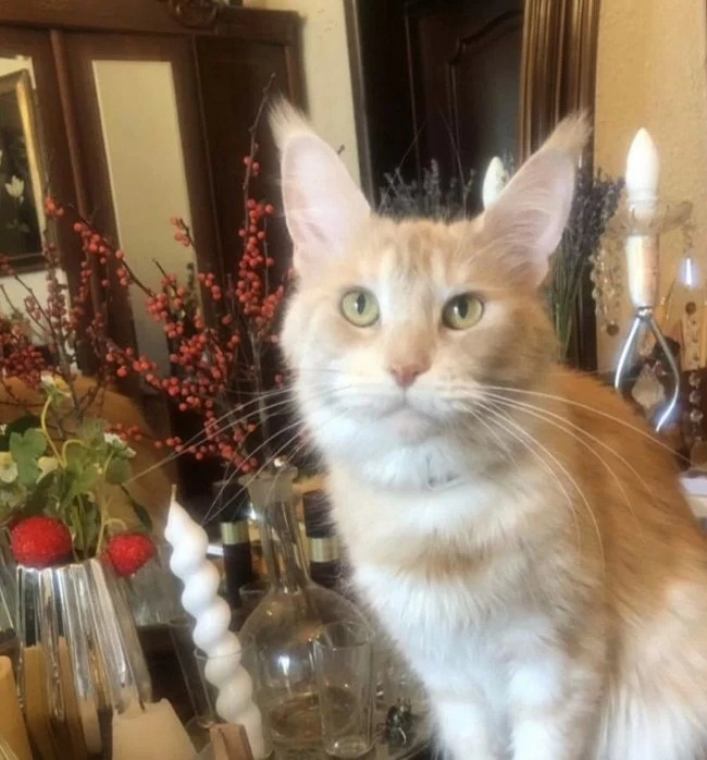 #Красногорск #МО