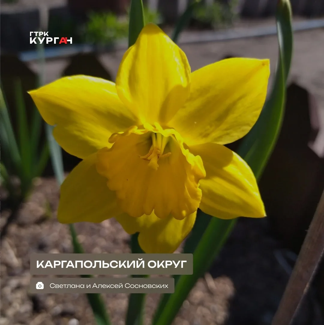 🌤 Доброе утро, зауральцы!

Сегодня в Кургане синоптики обещают небольшой дождь. Днём температура со