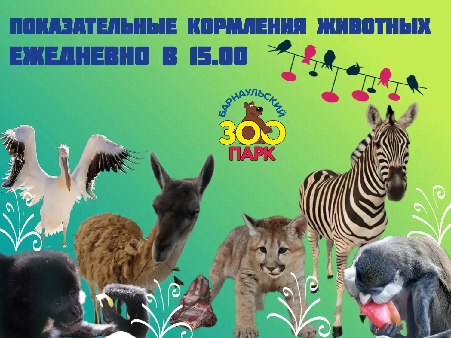 График показательных кормлений на июнь 2026 года (каждый день в 15:00)

· 15 июня (понедельник) – Ке