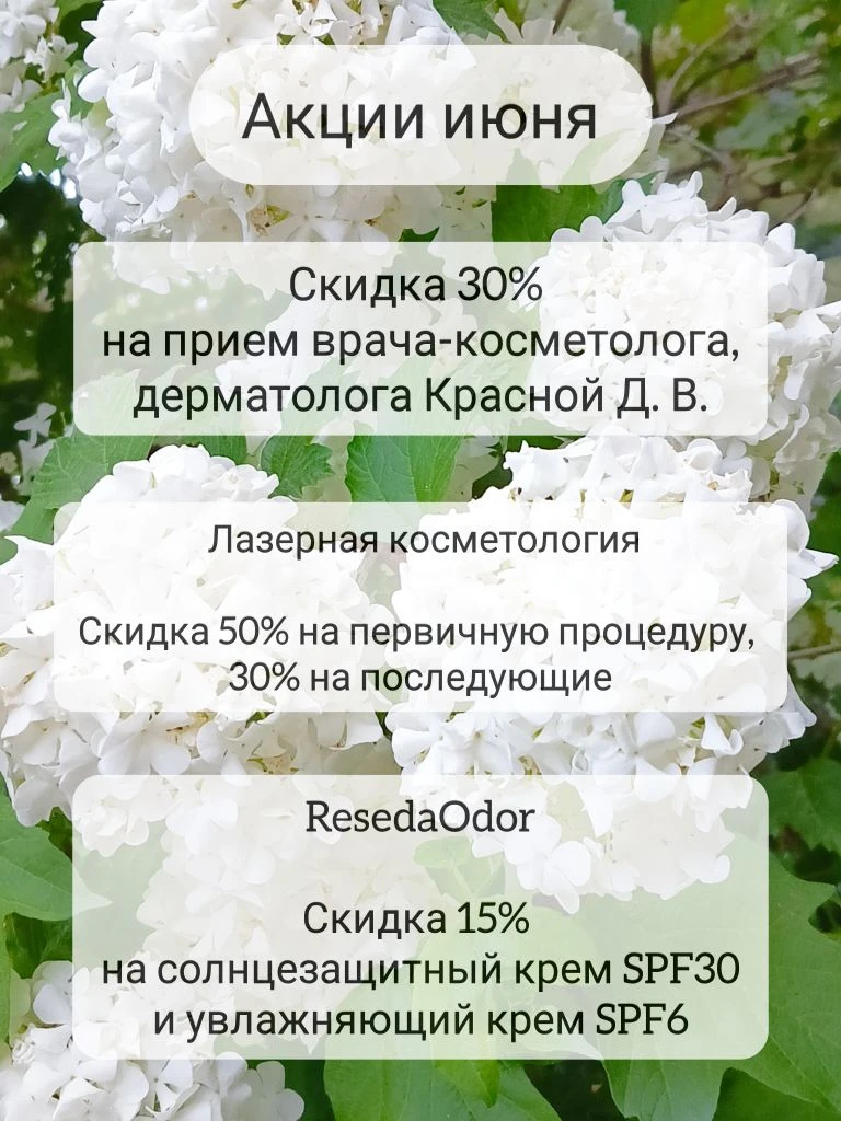 #предложениядеметры