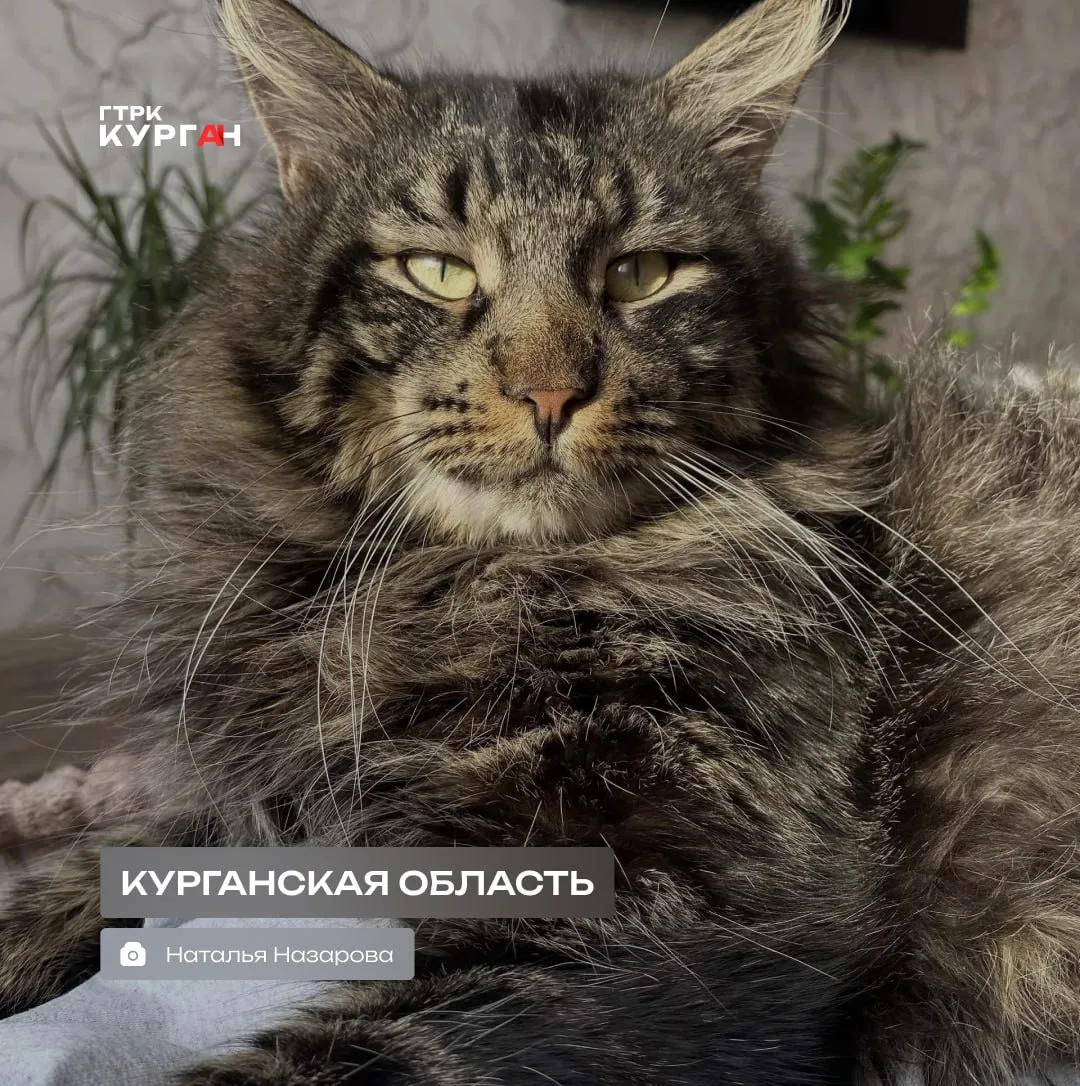 🌤 Доброе утро, зауральцы!

Сегодня в Кургане будет малооблачно. Воздух днём прогреется до +33°. Ноч