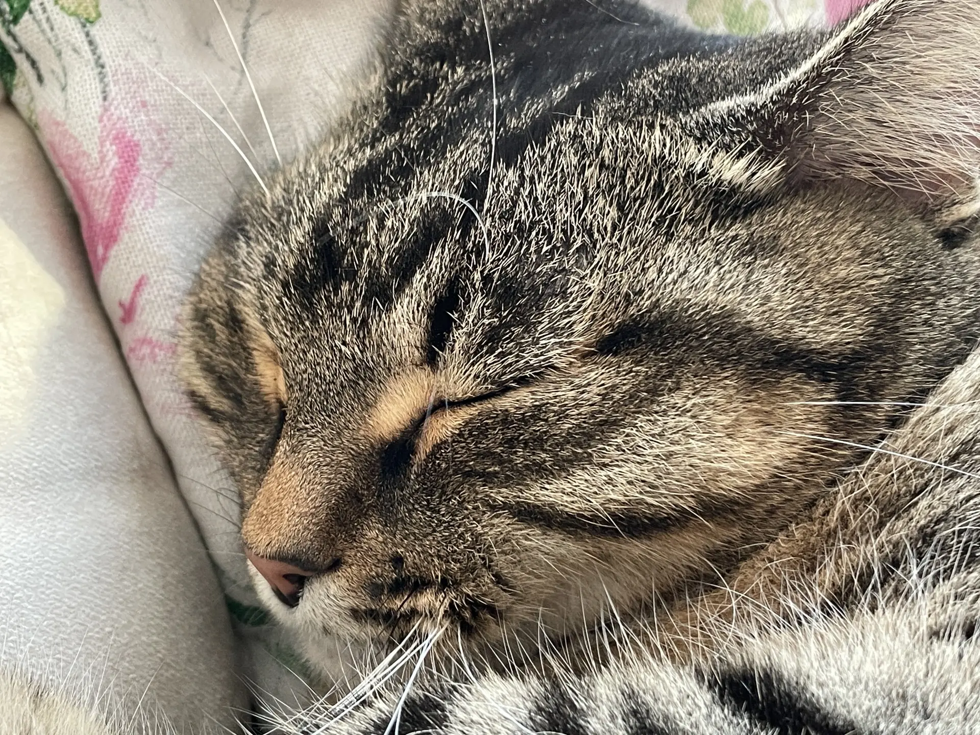 Ну что за милота 😻