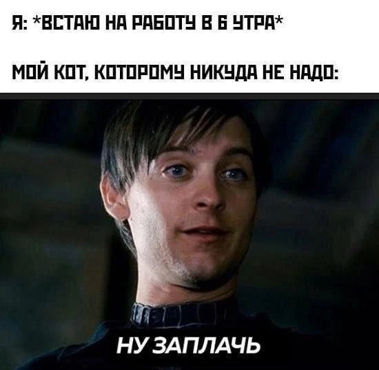 Вот поэтому у меня нет кота

Я-Руководитель