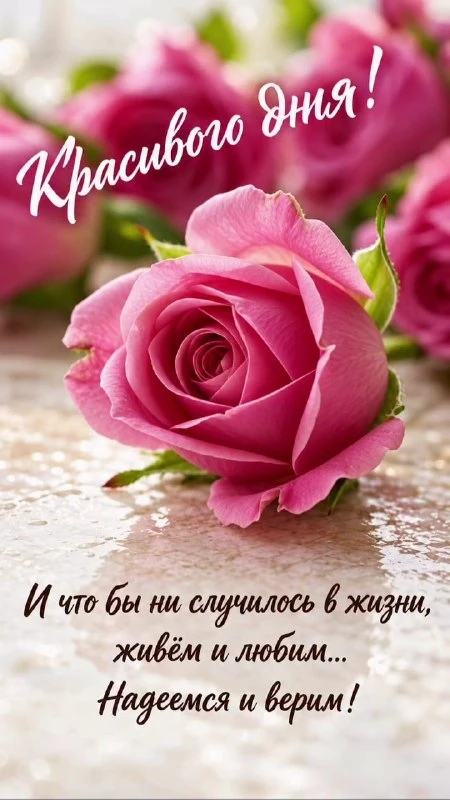Открытки: подписаться ❤️