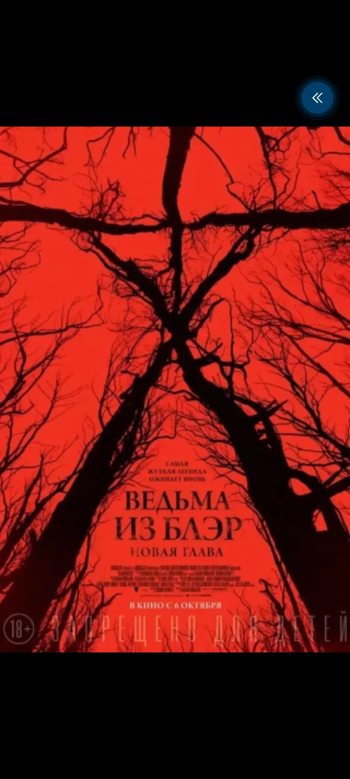 Ведьма из Блэр: Новая глава