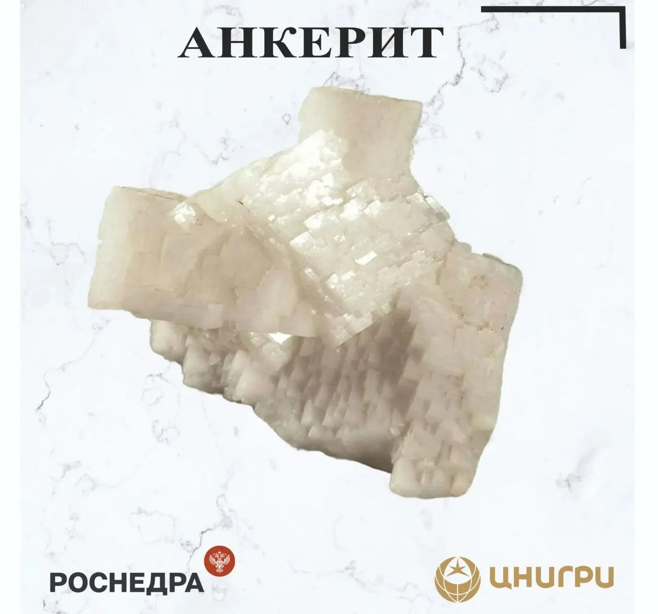 В эту среду ЦНИГРИ⁉️