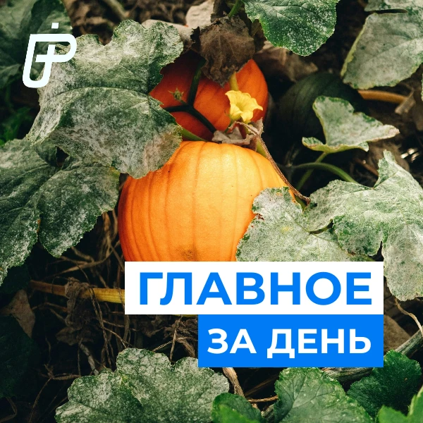 📌 Главное за день— 29 сентября 2026
