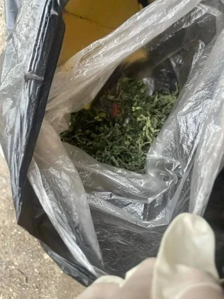 🌿 Пенсионеру из Ростовской области грозит до 10 лет лишения свободы за хранение марихуаны