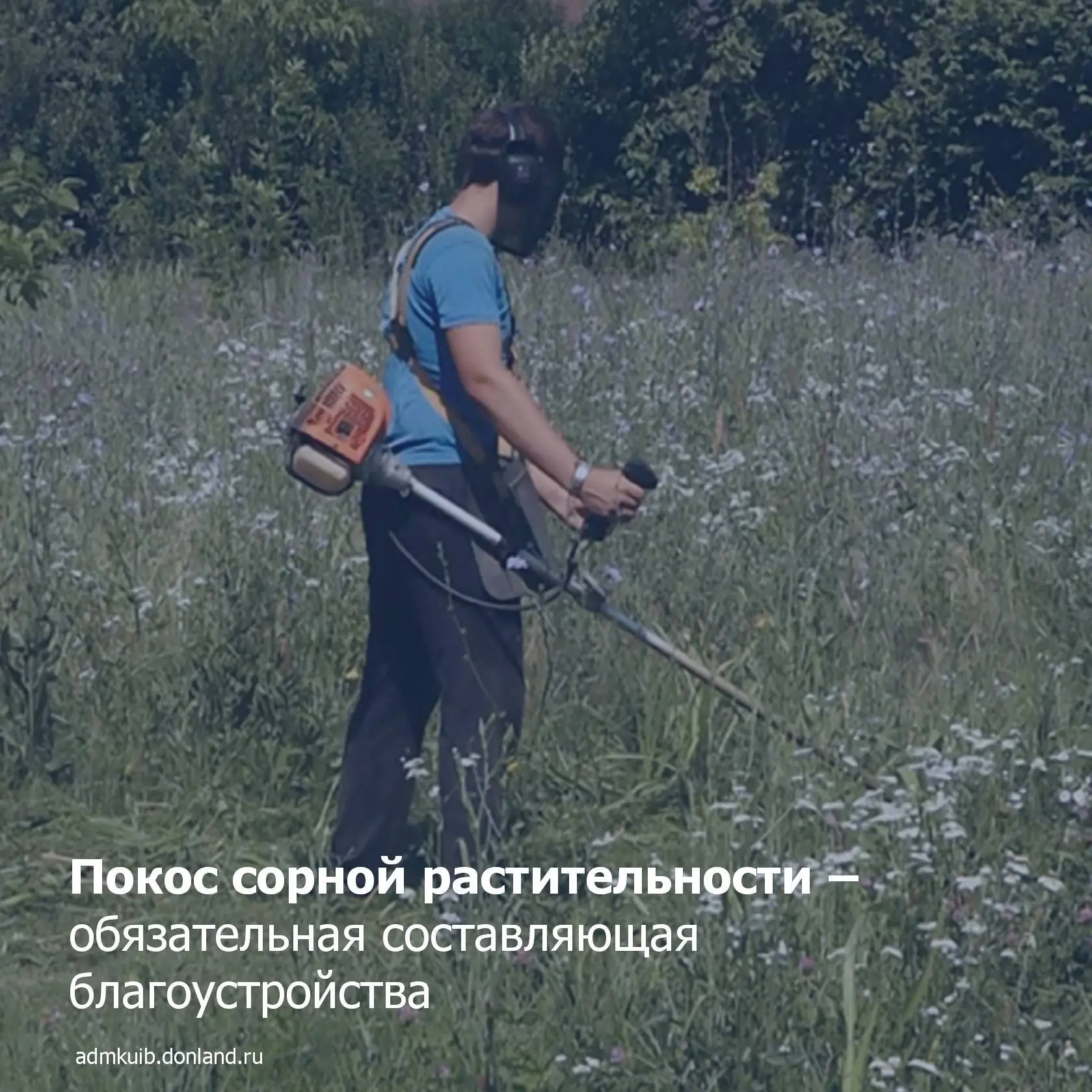 Уважаемые жители Куйбышевского района!