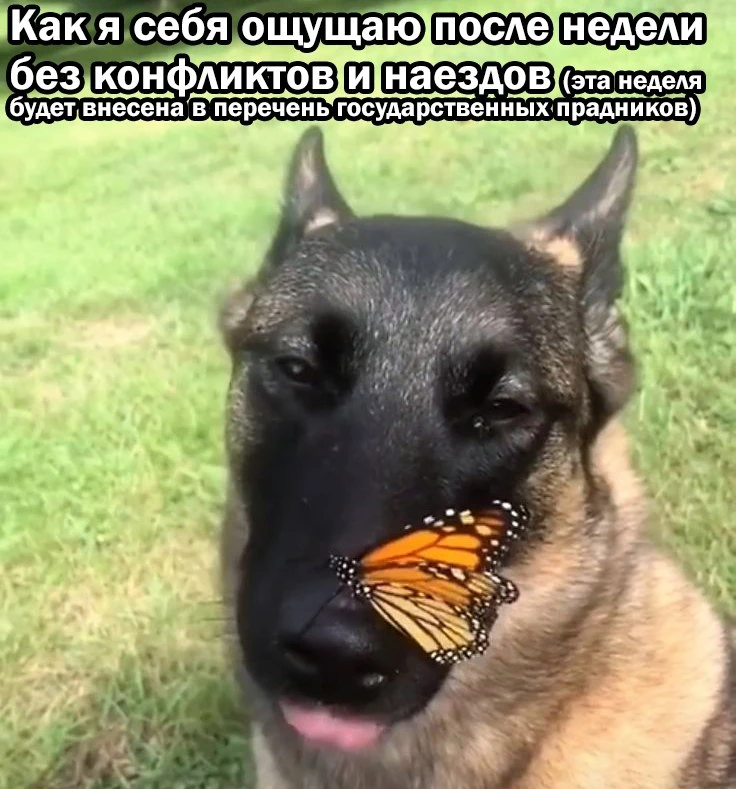 И ещё