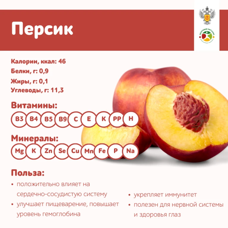 В День персика напоминаем, чем полезны эти плоды и как не ошибиться при их выборе.