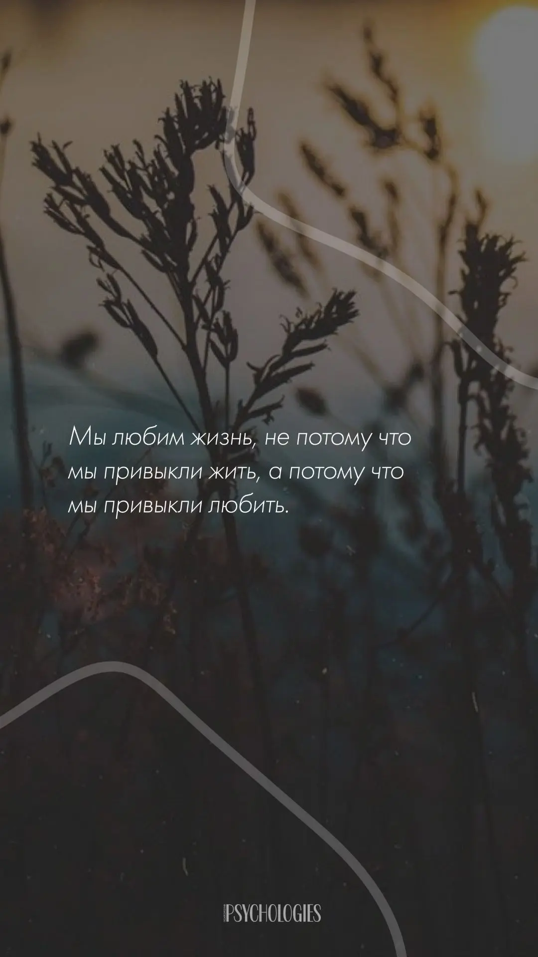 Мы любим жизнь, не потому что мы привыкли жить, а потому что мы привыкли любить.