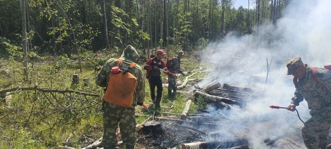 🔥 9 июня в 10:30 на территории Тевризского района был обнаружен лесной пожар. Очаг возгорания, расп