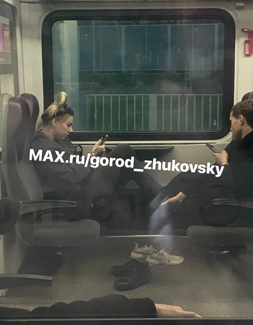 Обыкновенное свинство